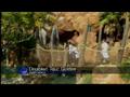 News video: Some wealthy families find way to skip lines at Disney World